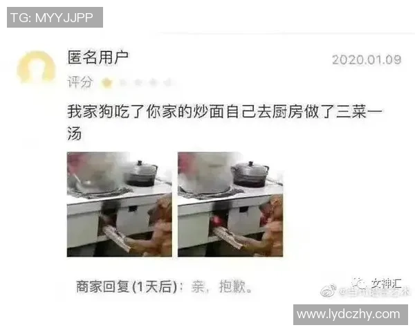 广州排球队洲际杯精彩配合表现分析与点评