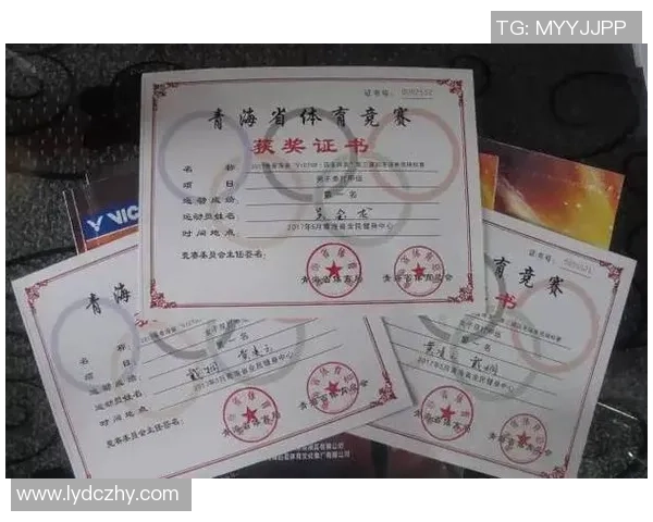 重庆羽毛球队杯赛表现分析：个人能力的突出与不足之处