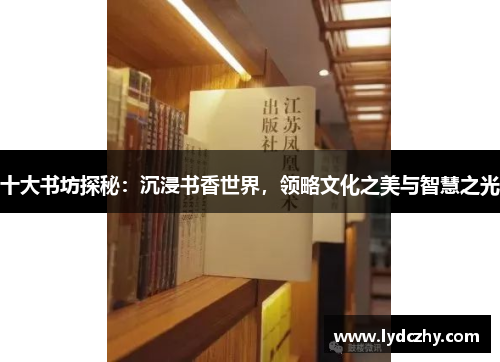 十大书坊探秘：沉浸书香世界，领略文化之美与智慧之光