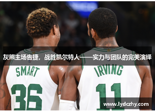 灰熊主场告捷，战胜凯尔特人——实力与团队的完美演绎