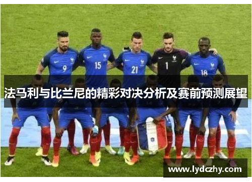 法马利与比兰尼的精彩对决分析及赛前预测展望